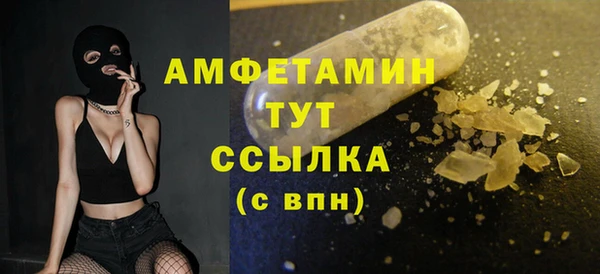 шишки Белокуриха