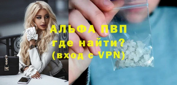 шишки Белокуриха