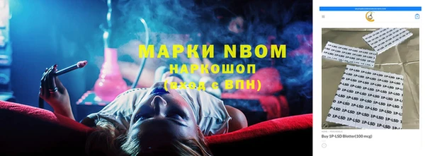 шишки Белокуриха