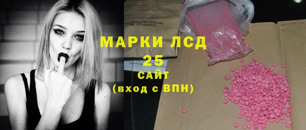 шишки Белокуриха