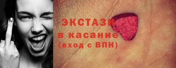 шишки Белокуриха
